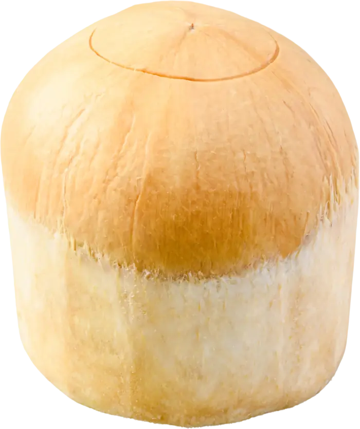 SAS Coconut