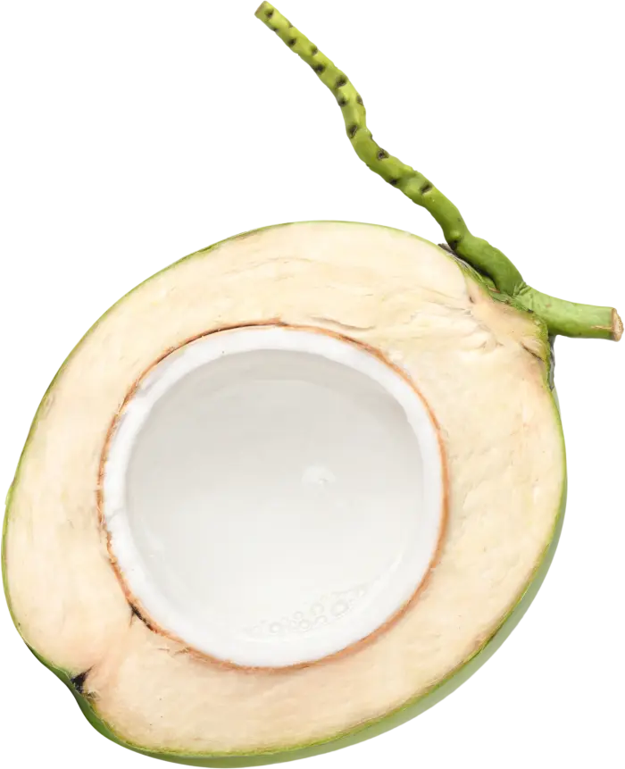 SAS Coconut